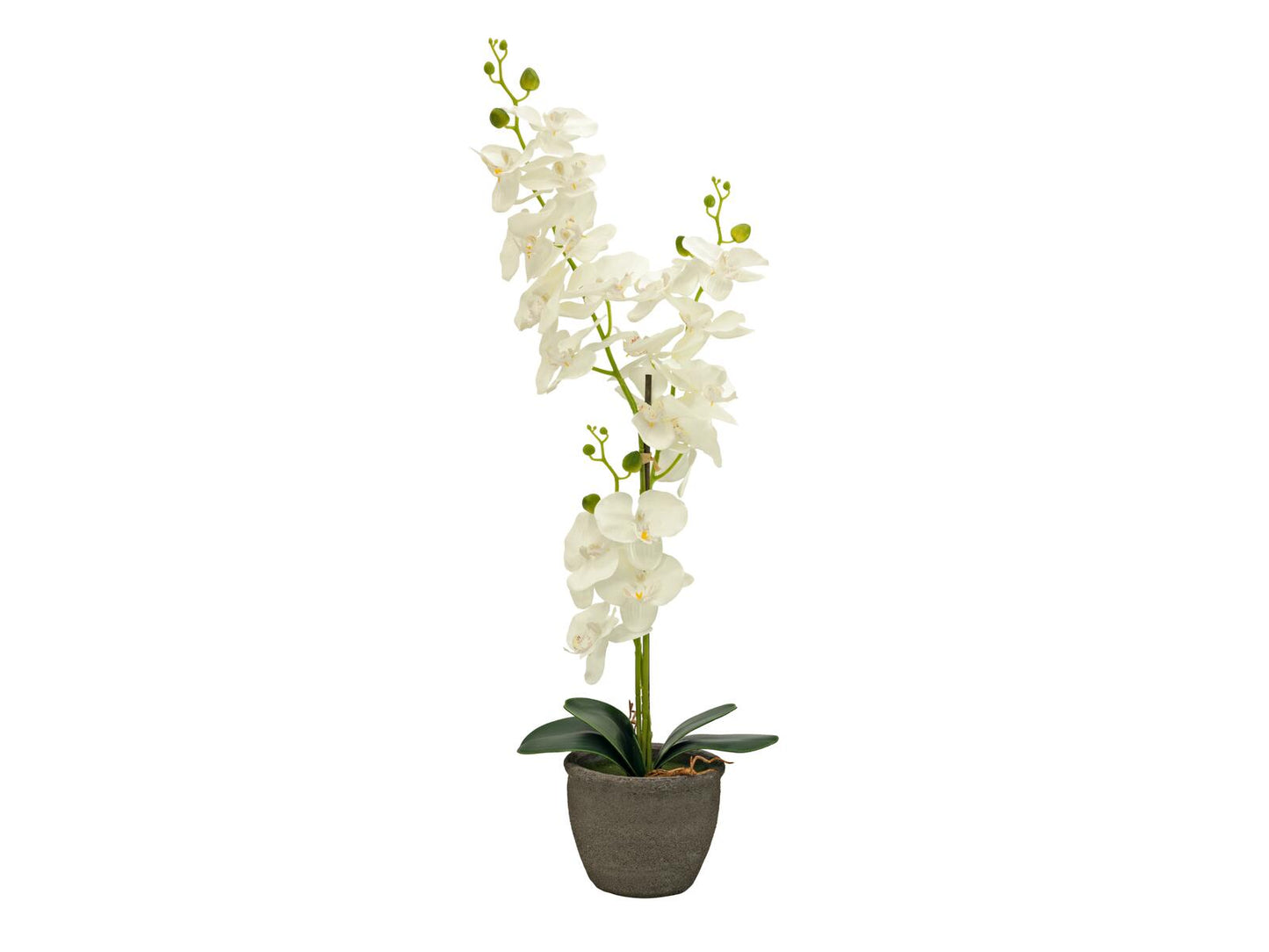 EUROPALMS Orchidee Kunstpflanze cremefarben 80cm