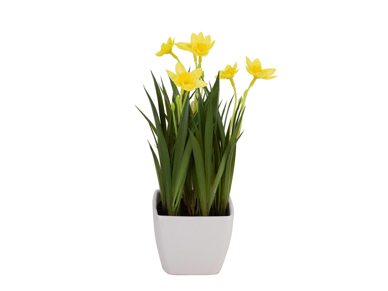 EUROPALMS Narzisse Kunstpflanze 23cm