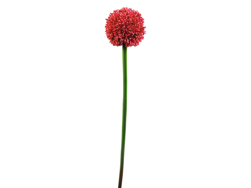 EUROPALMS Alliumzweiß künstlich rot 55cm