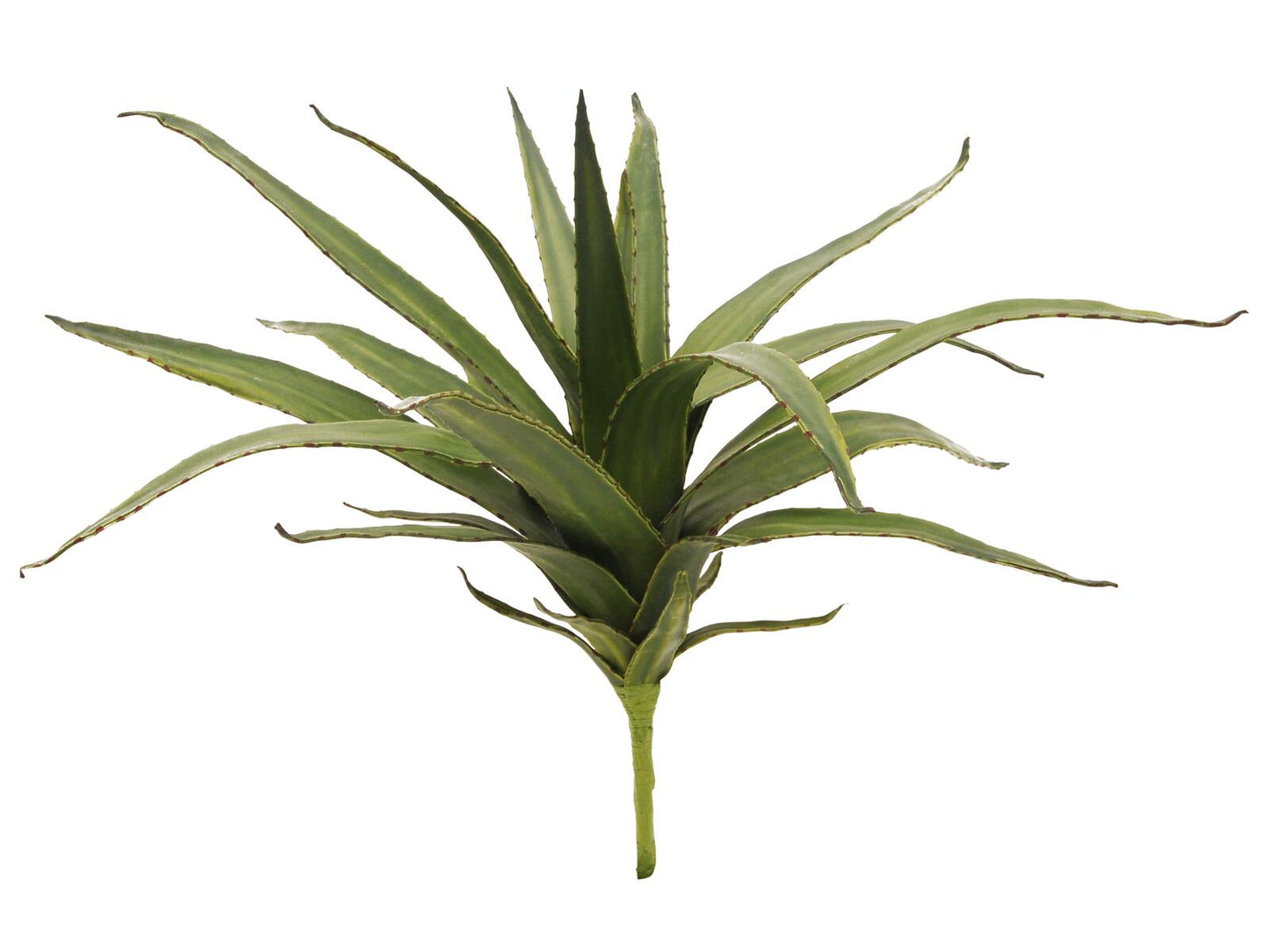 EUROPALMS Aloe (EVA) künstlich grün 50cm