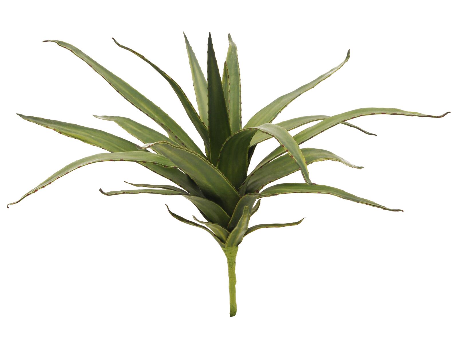 EUROPALMS Aloe (EVA) künstlich grün 50cm