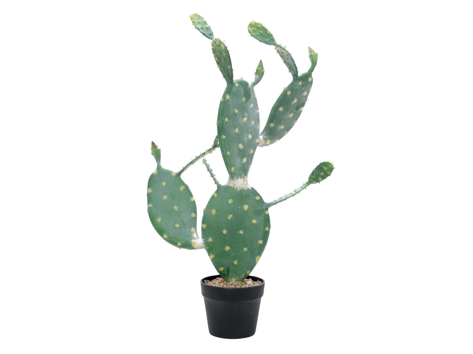EUROPALMS Blätterkaktus Kunstpflanze 76cm