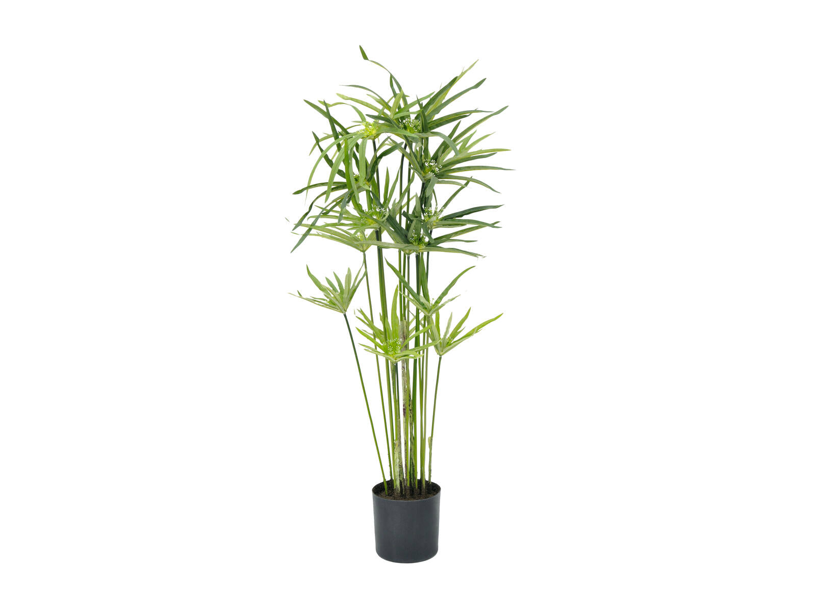 EUROPALMS Zyperngras künstlich76cm