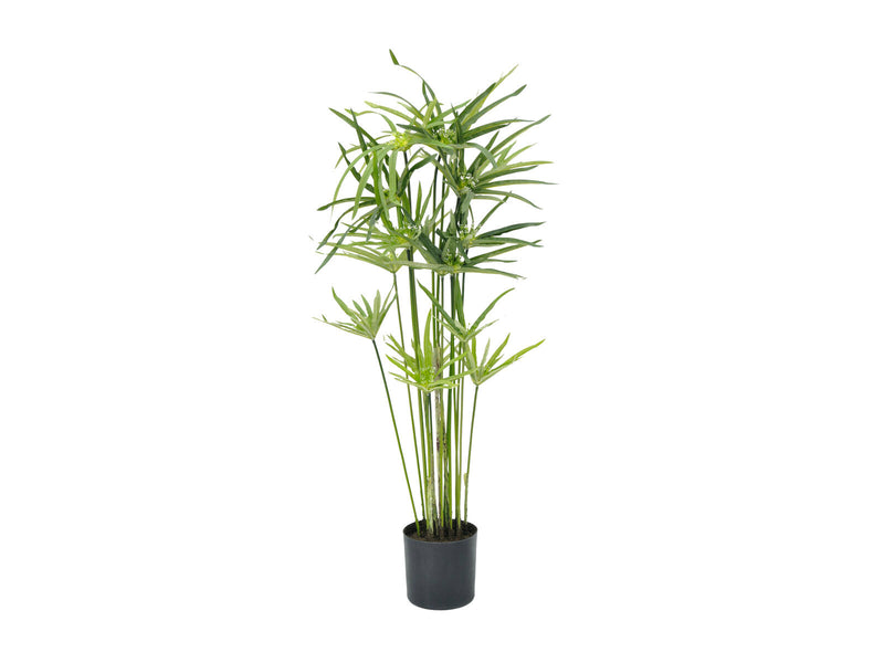 EUROPALMS Zyperngras künstlich76cm