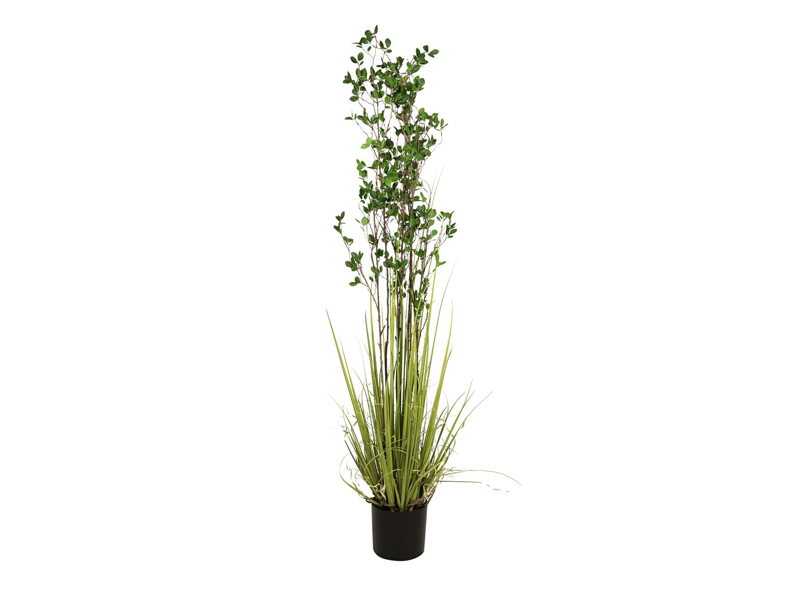 EUROPALMS Immergrünstrauch mit Gras Kunstpflanze 182 cm