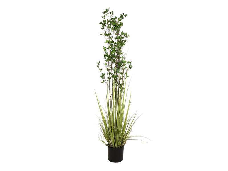 EUROPALMS Immergrünstrauch mit Gras Kunstpflanze 182 cm