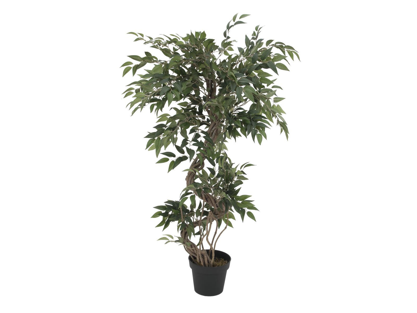EUROPALMS Ficus Multi Spiralstamm Kunstpflanze 130cm