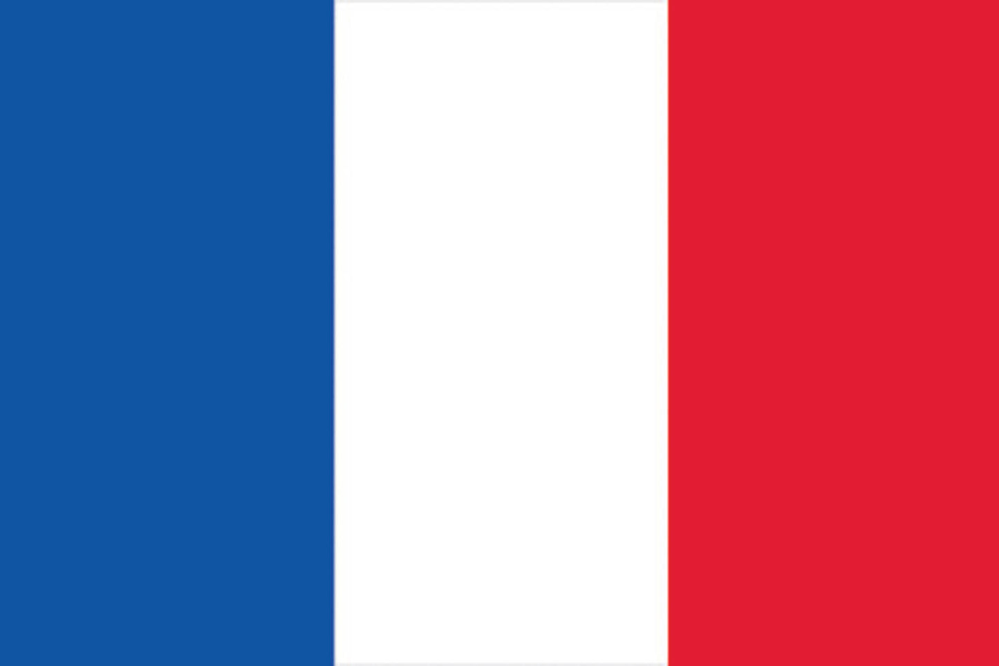 EUROPALMS Flagge Frankreich 600x360cm