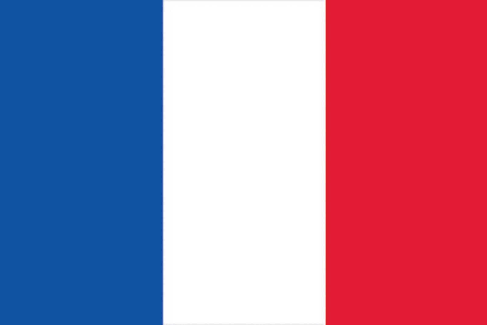 EUROPALMS Flagge Frankreich 600x360cm