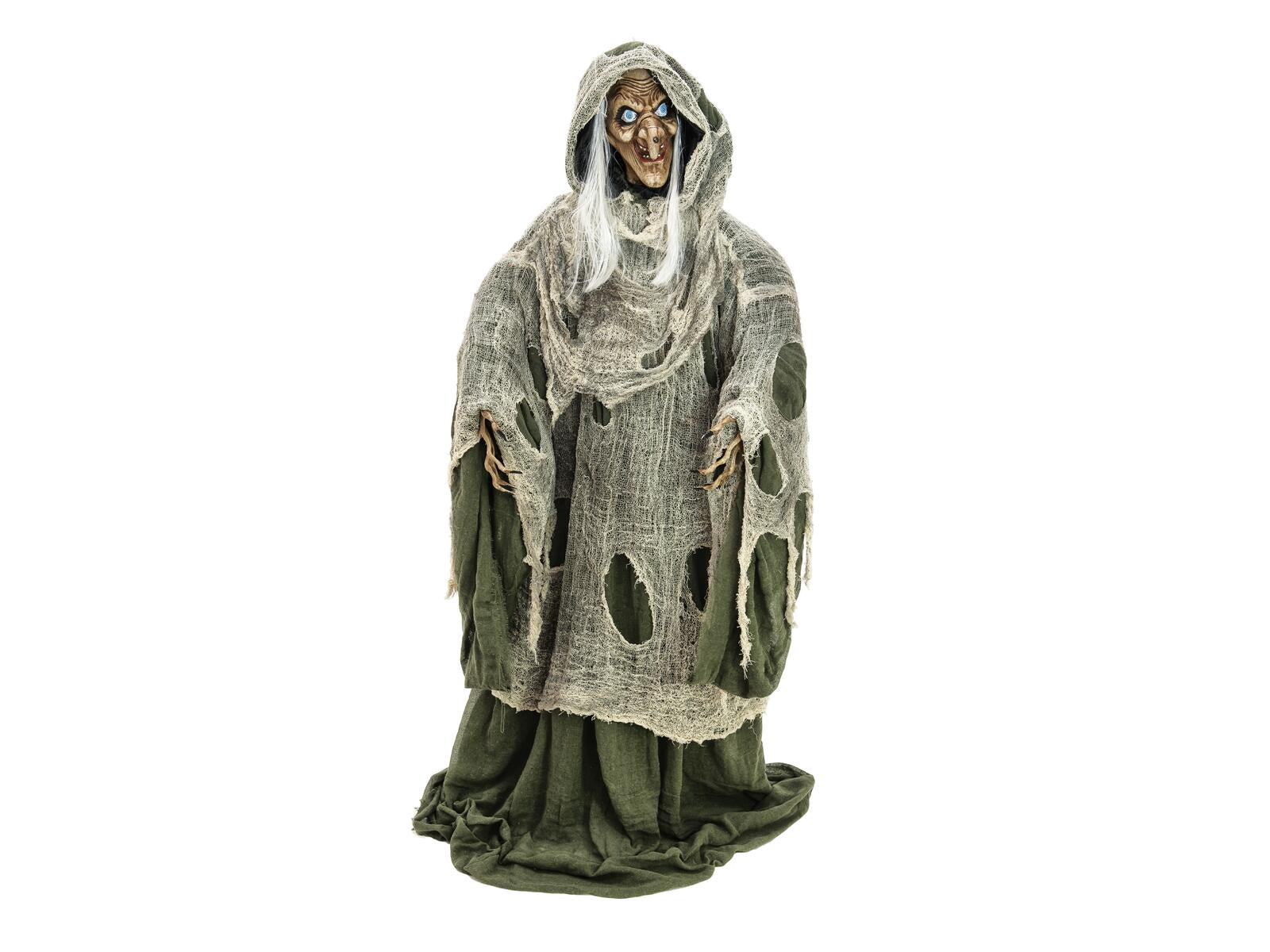 EUROPALMS Halloween Hexe grün 145x70x66cm