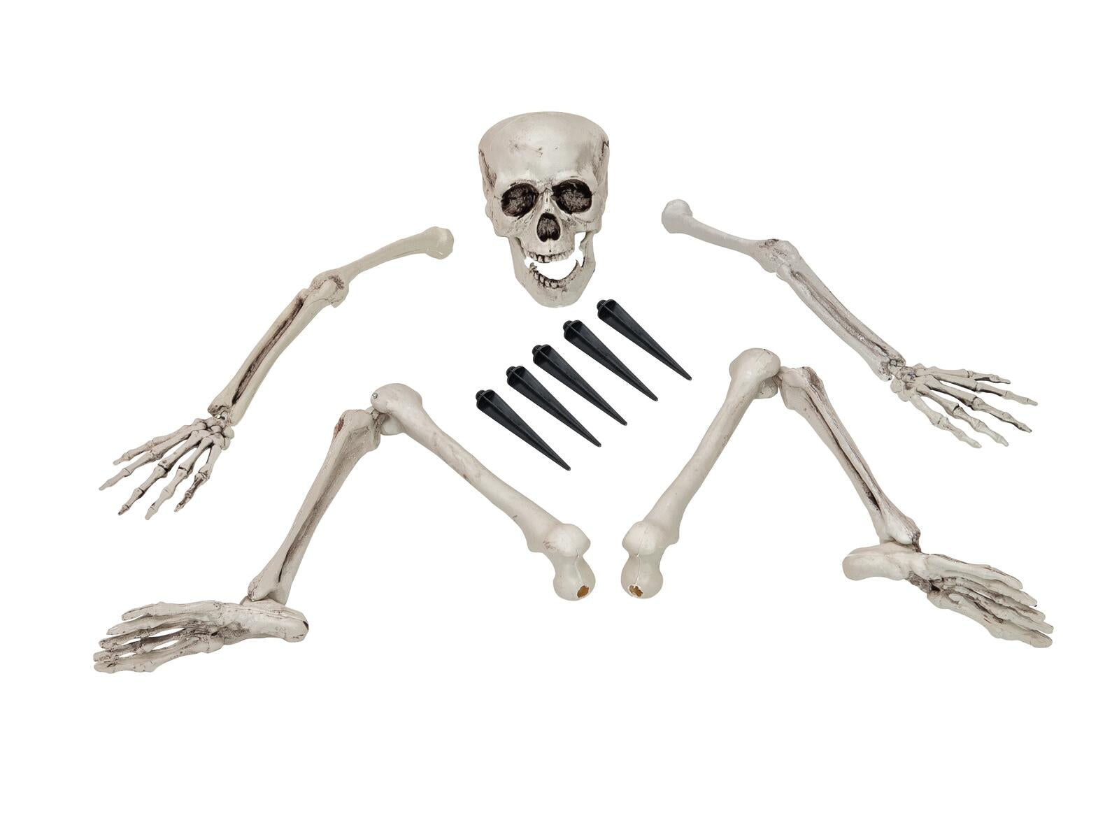 EUROPALMS Halloween Skelett mehrteilig