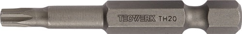 Bit 1/4 Zoll T 30 L.50mm m.Bohr.TECWERK - VPE: 10