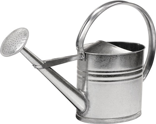 Gießkanne 10 l silber Metall verzinkt