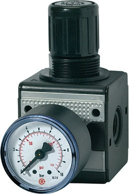 Druckregler MULTIFIX Gewinde mm 1917 BG III G 1/2 ? 05 - 10 bar 6000 l/min RIEGLER