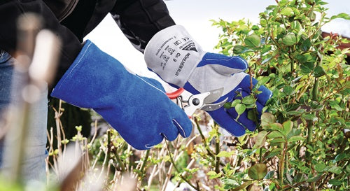 Schweißerhandschuhe Mühlheim Blue Gr8 blau/grau Rindspaltleder - VPE: 6 – Ansicht 3