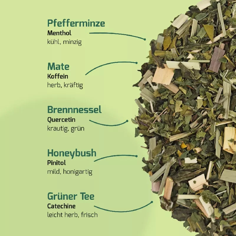 Pure Wellness - Mate & Minze | Bio-Tee – POP TEE – Ansicht 4