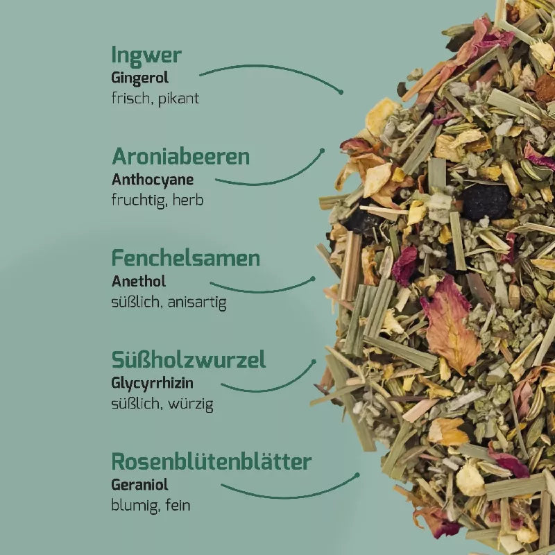 Pure Wellness - Ingwer & Aronia | Bio-Tee – POP TEE – Ansicht 4