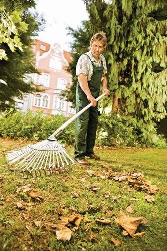 Laubbesen Arbeitsbreite 450 mm Stahl verzinkt feststehend FLORA 1 Stück – Ansicht 3