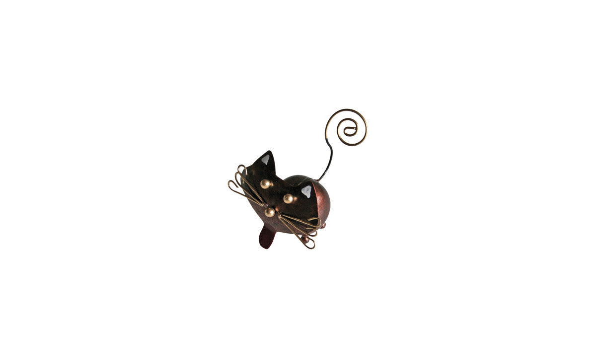 Katze "Krissi"